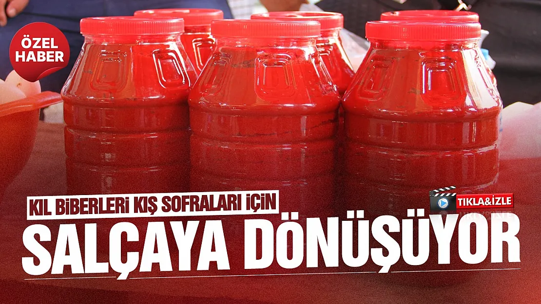 Samsun Çarşamba'da kıl biberinin salçaya dönüşü
