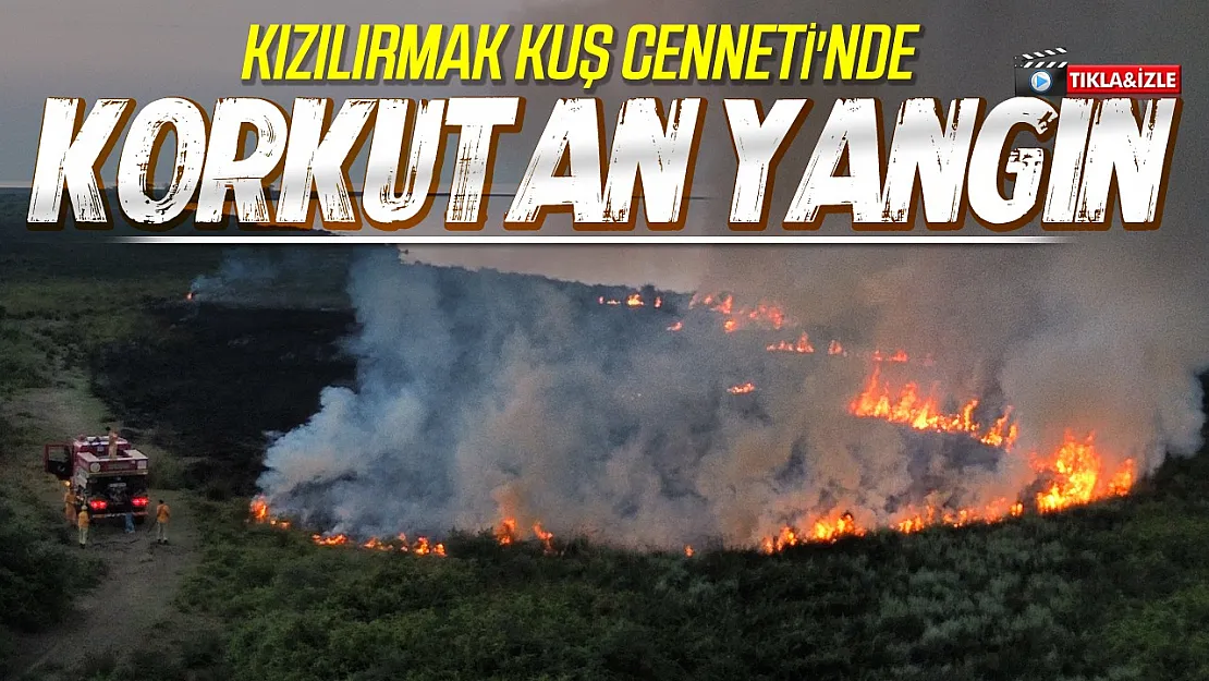 Samsun Kızılırmak Deltası Kuş Cenneti'nde yangın