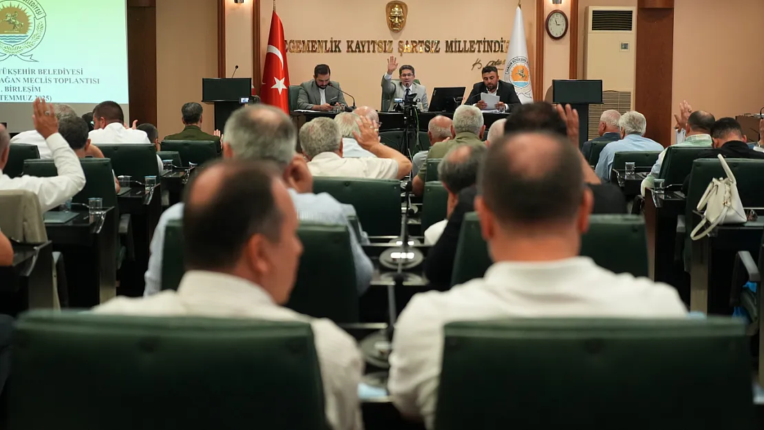 Samsun meclisinde karikatür tepkisi