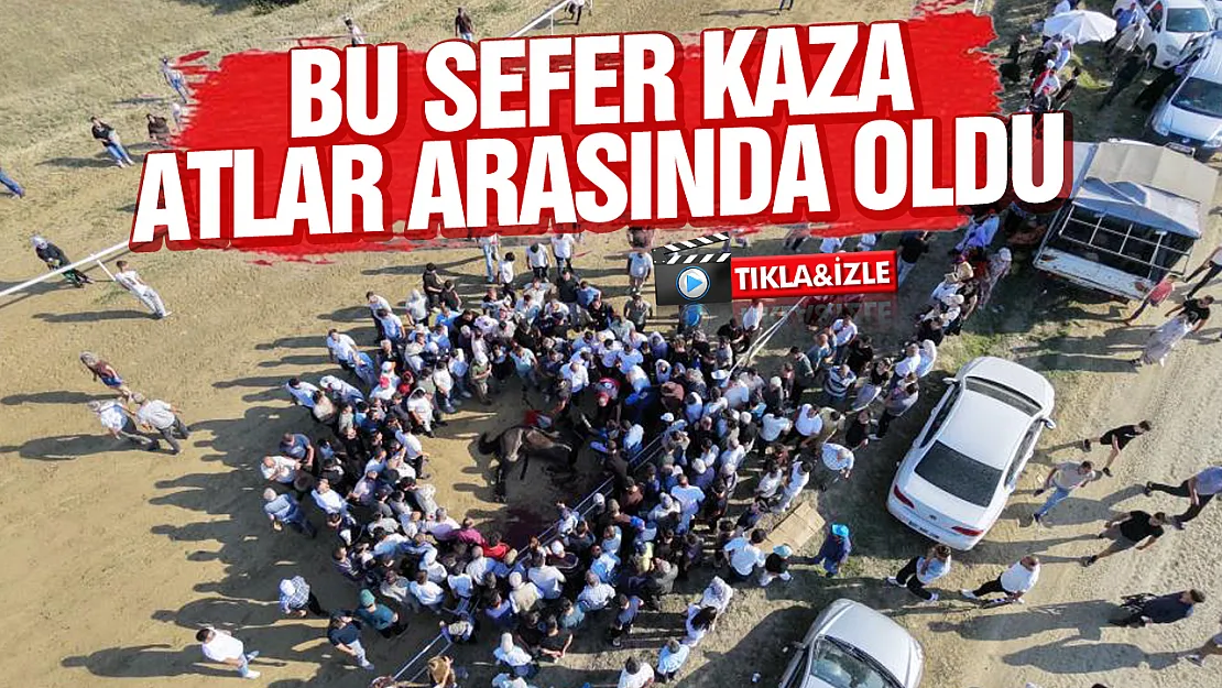Sarımsak Festivali'nde feci kaza Çarpışan iki at telef oldu
