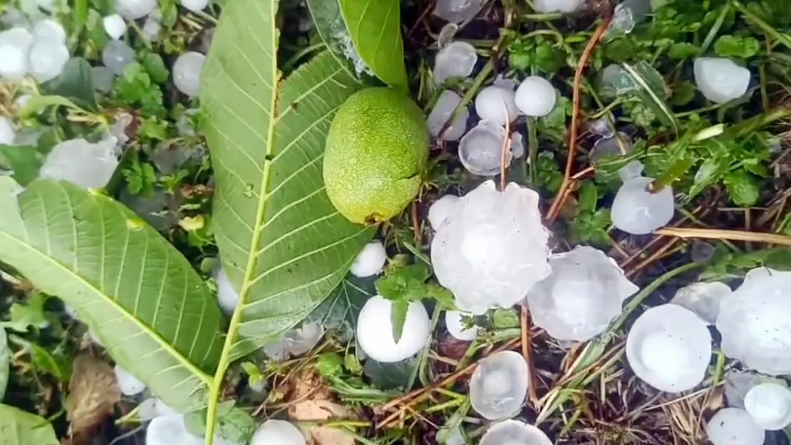 Şiddetli dolu yağışı etkili oldu