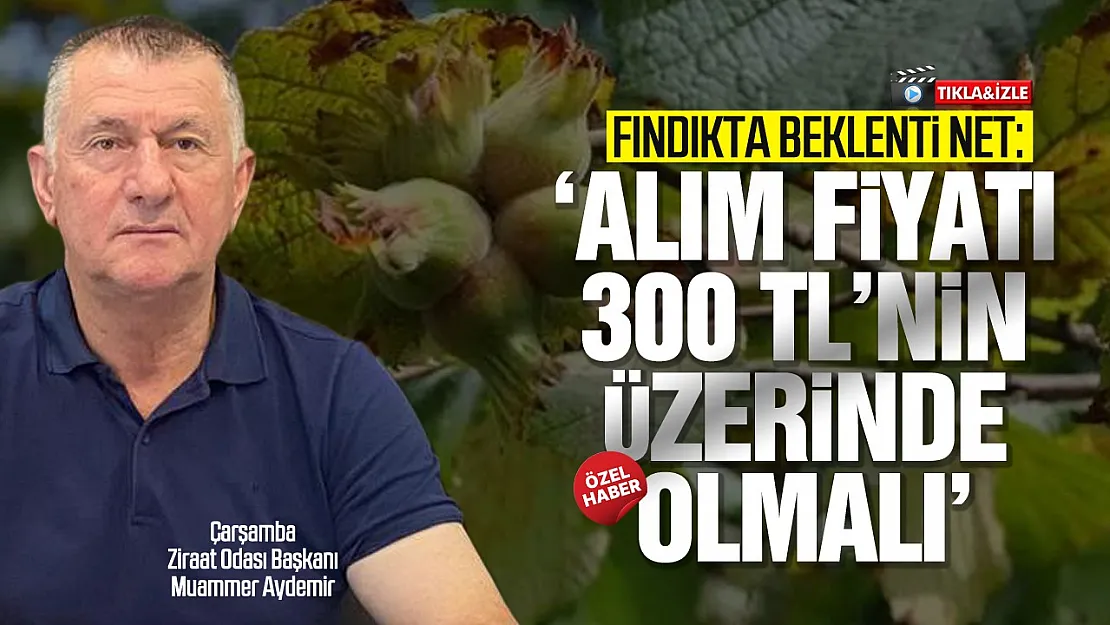 Üreticinin gözü TMO'da: Fındıkta fiyat beklentisi yüksek