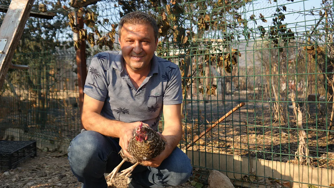 Yangın sonrası geri dönen tavuğa 'Umut' adı verildi