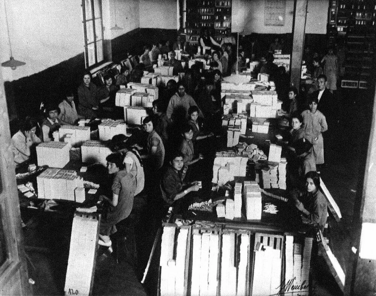 Samsun'da bir tütün dramı: Zarif parmaklı kızlar