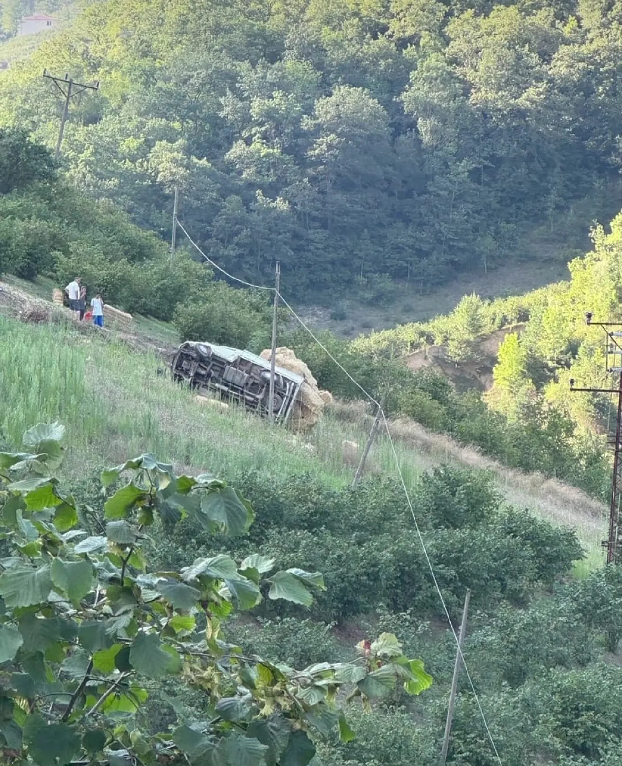 Samsun Ayvacık'ta saman yüklü kamyonet devrildi