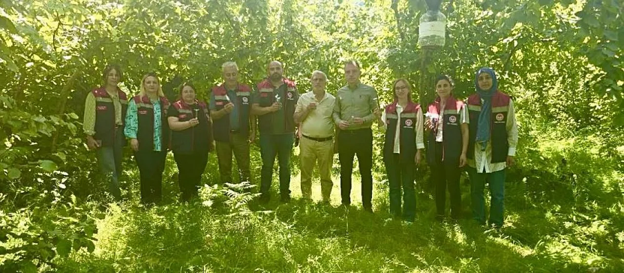 Karadeniz'de onlarca Samuray arısı doğaya salındı