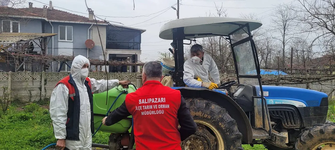 Salıpazar'ında kokarca alarmı
