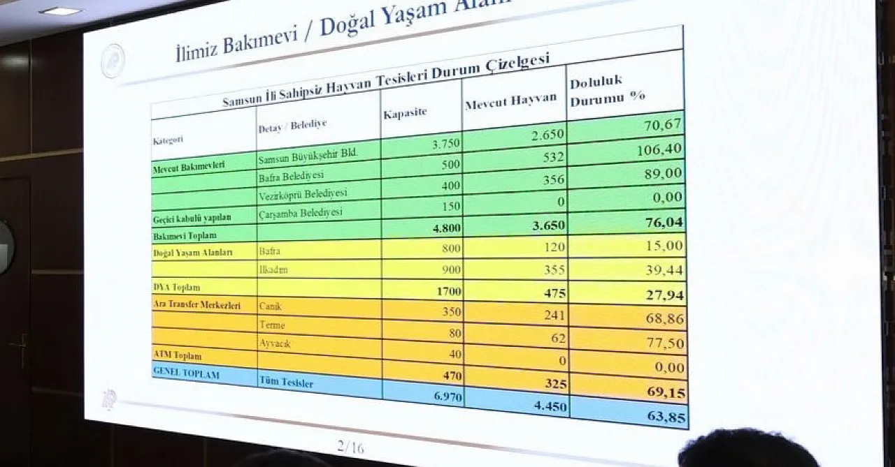 Başkan Kurnaz haklı çıktı... 13 ilçede hayvan barınağı yok!