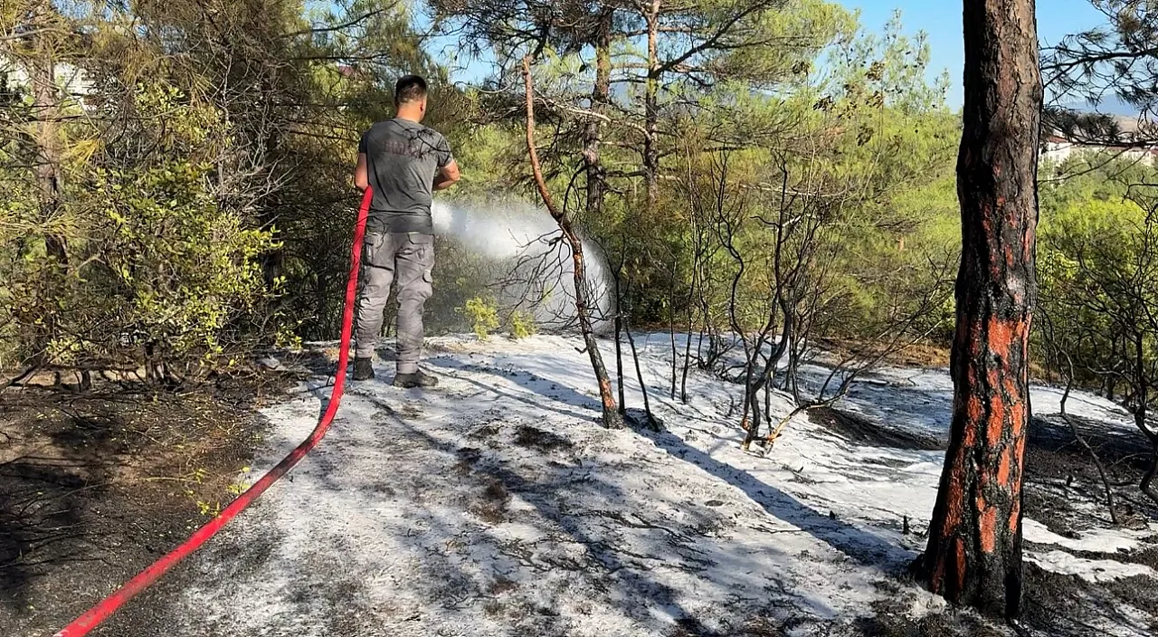 Karabük'te Kent Ormanı'nda örtü yangını paniği
