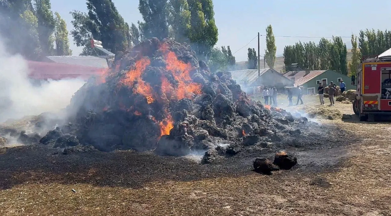 Kars'ta bin balya ot yangında kül oldu