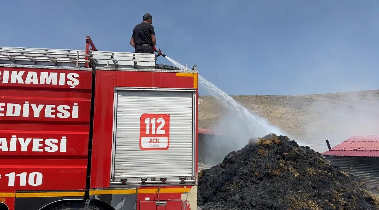 Kars'ta bin balya ot yangında kül oldu