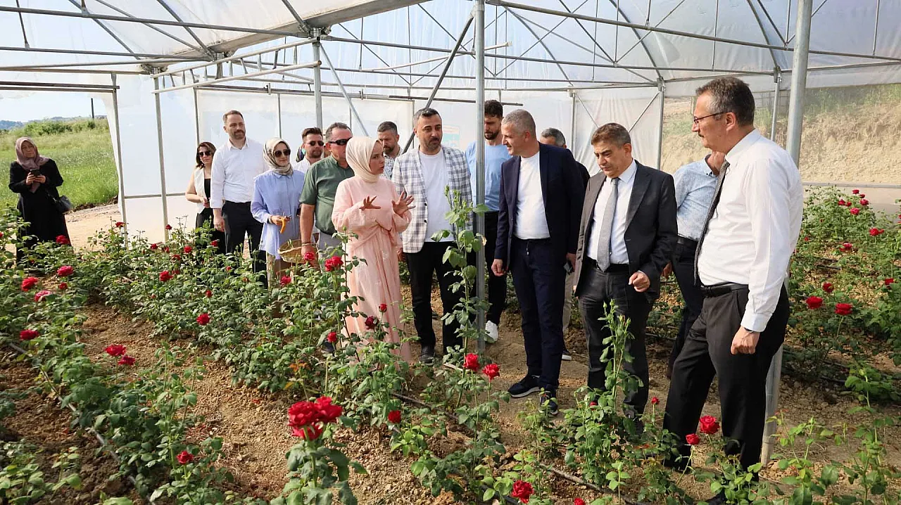 Gül kokulu girişim: Kadın girişimci modern gül serası kurdu