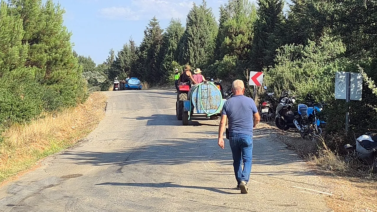 Muğla'daki orman yangını kontrol altına alındı