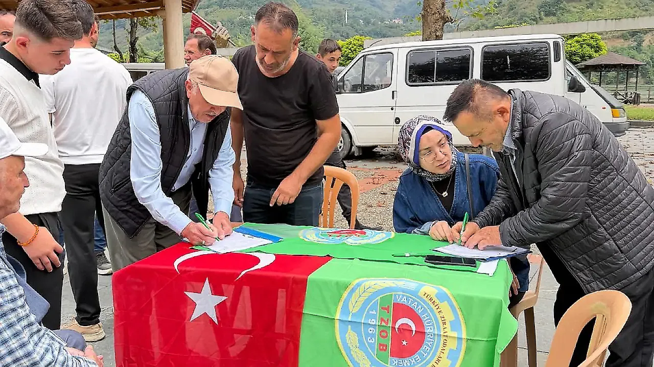 Samsun Ayvacık'ta fındık kotası için imza kampanyası