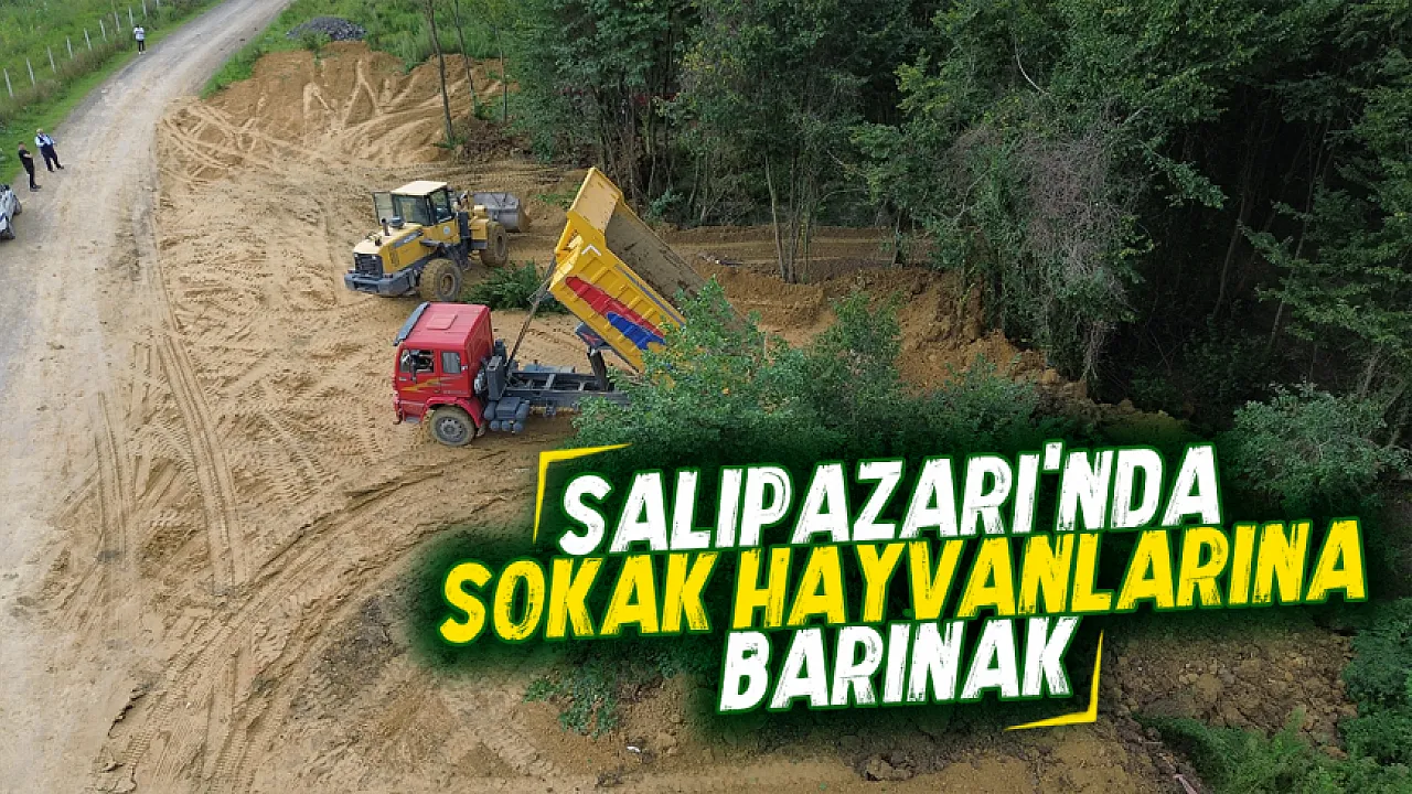 Salıpazarı'nda can dostlar için yuva: Bakım ve rehabilitasyon merkezinde sona doğru