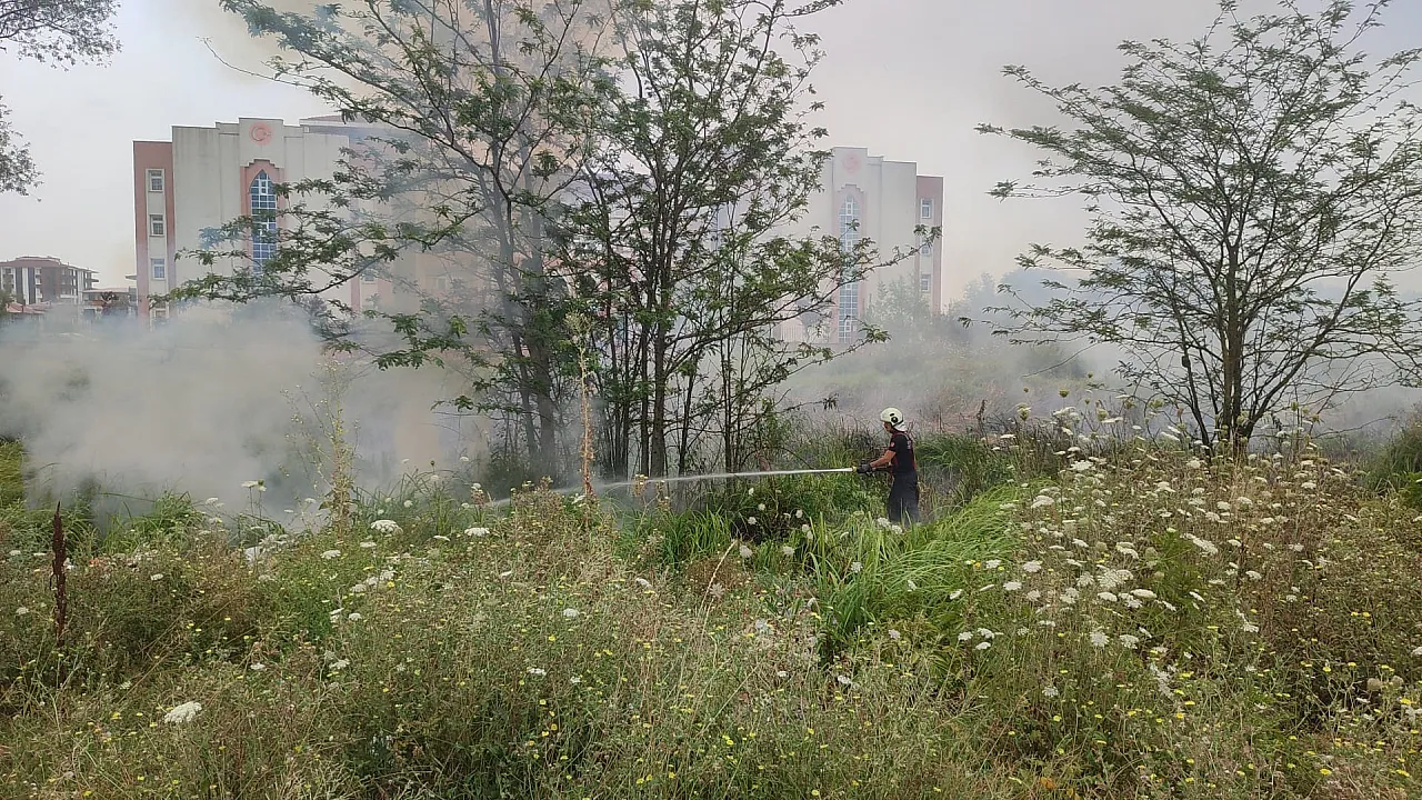 Sazlık alanda çıkan yangın korkuttu