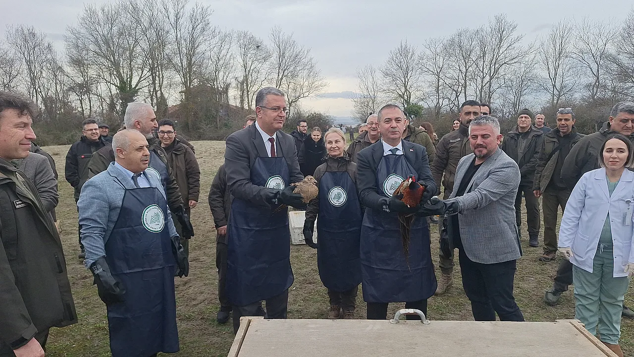 Samsun'da Doğaya Can Geldi! Yaban Hayvanları Salındı