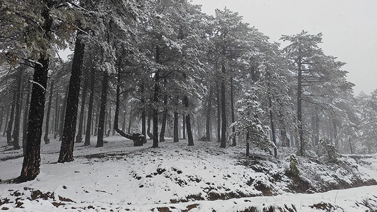 Bazı illerde kar etkili oldu