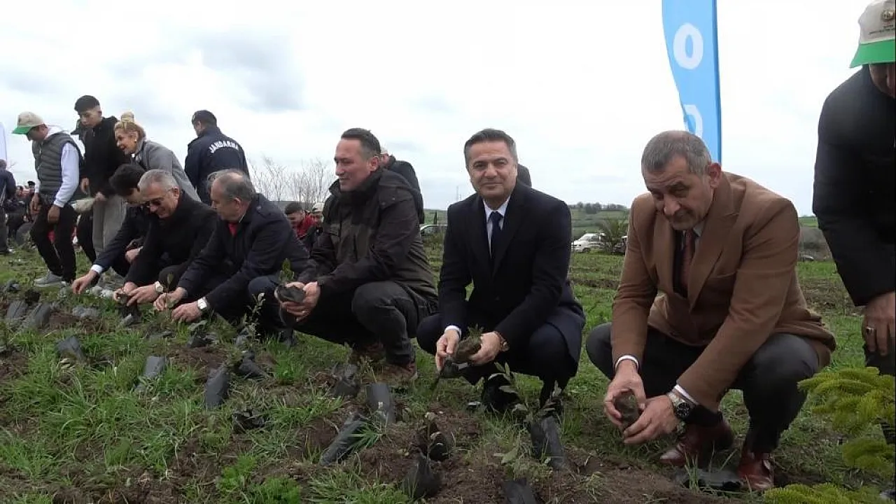 Minik eller doğaya can verdi
