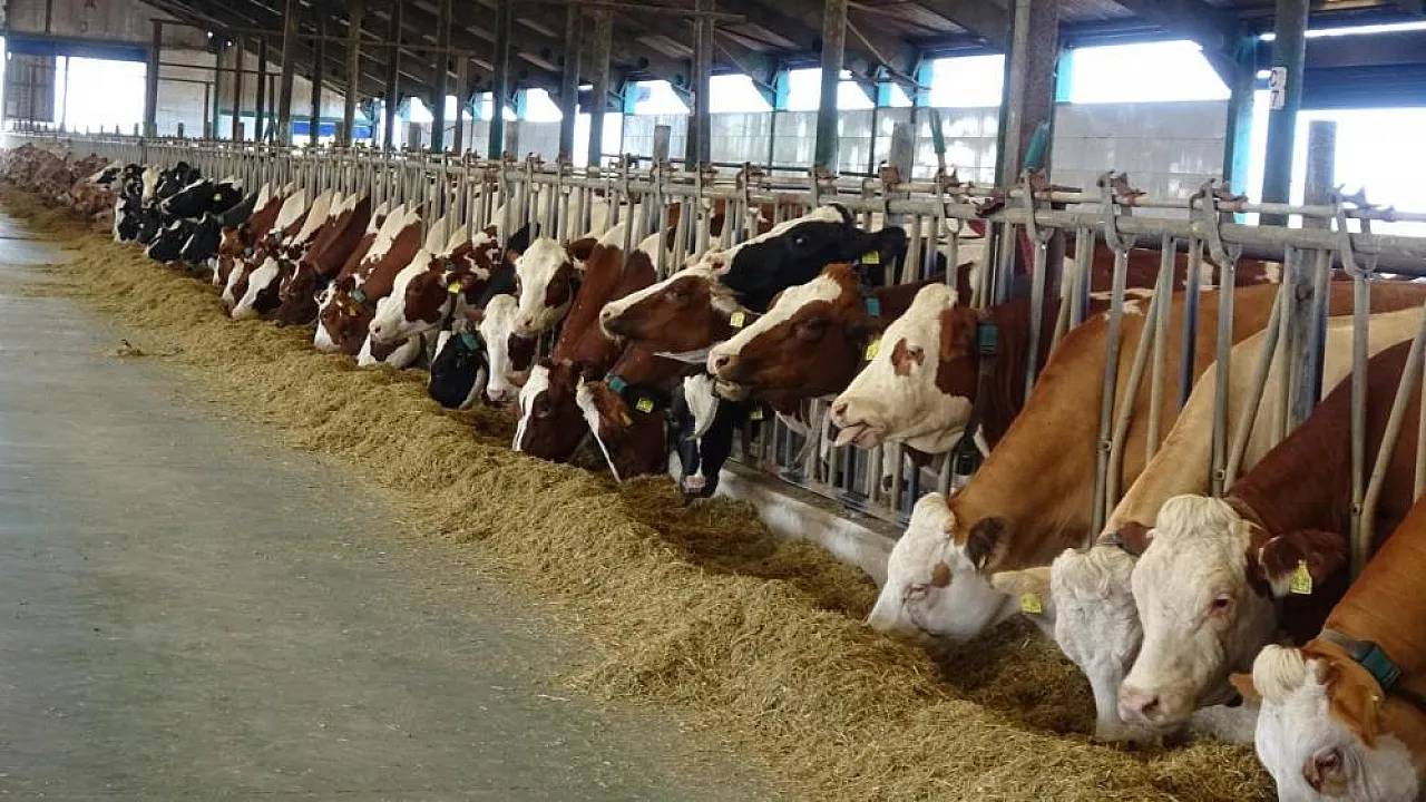 Samsun'da Çiftçilere 3,06 Milyar TL Destek Sağlandı