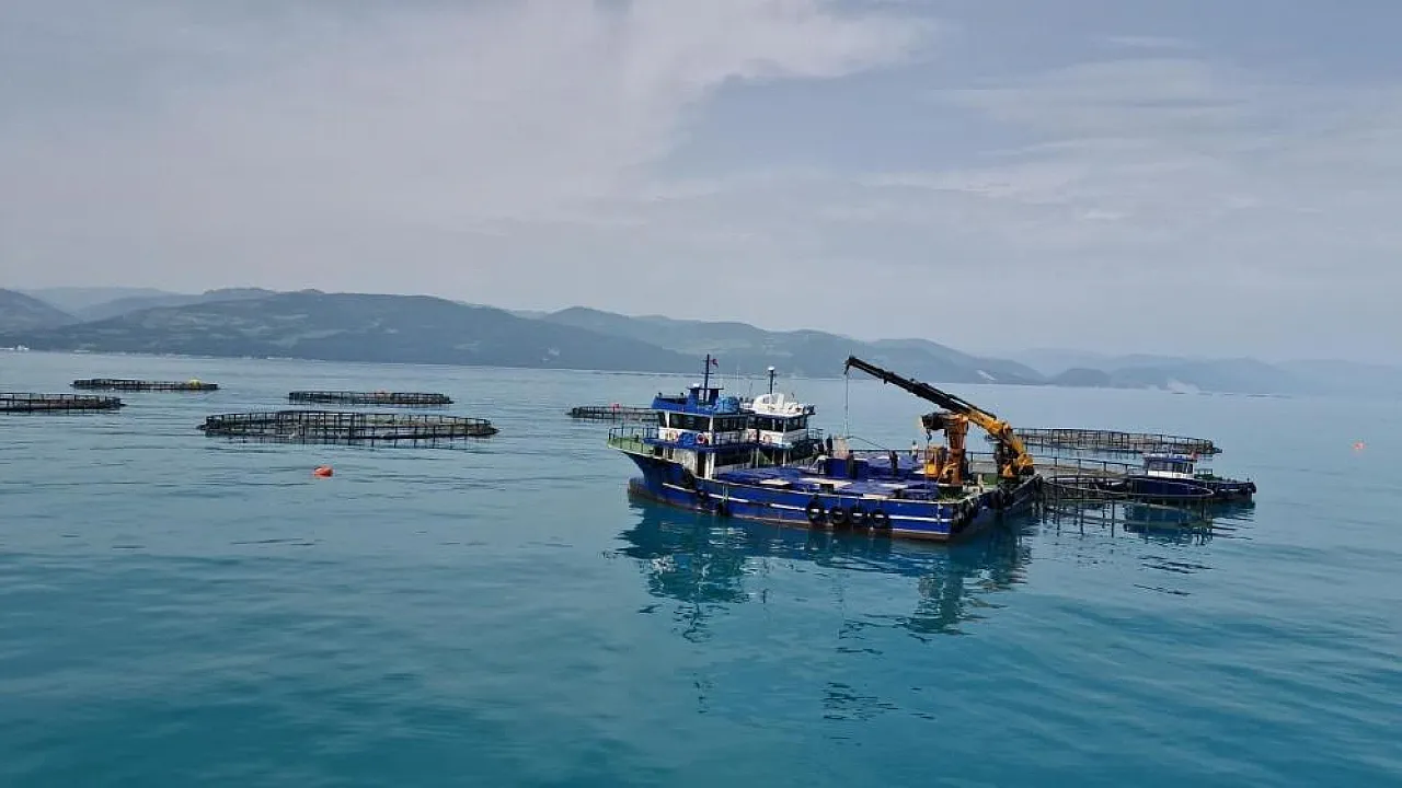 Samsun'da Çiftçilere 3,06 Milyar TL Destek Sağlandı