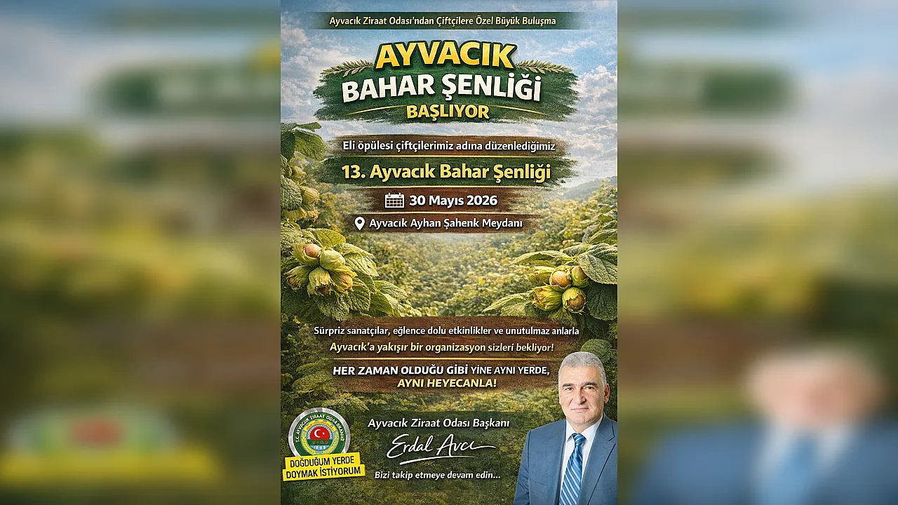 Ayvacık'ta şenlik krizi