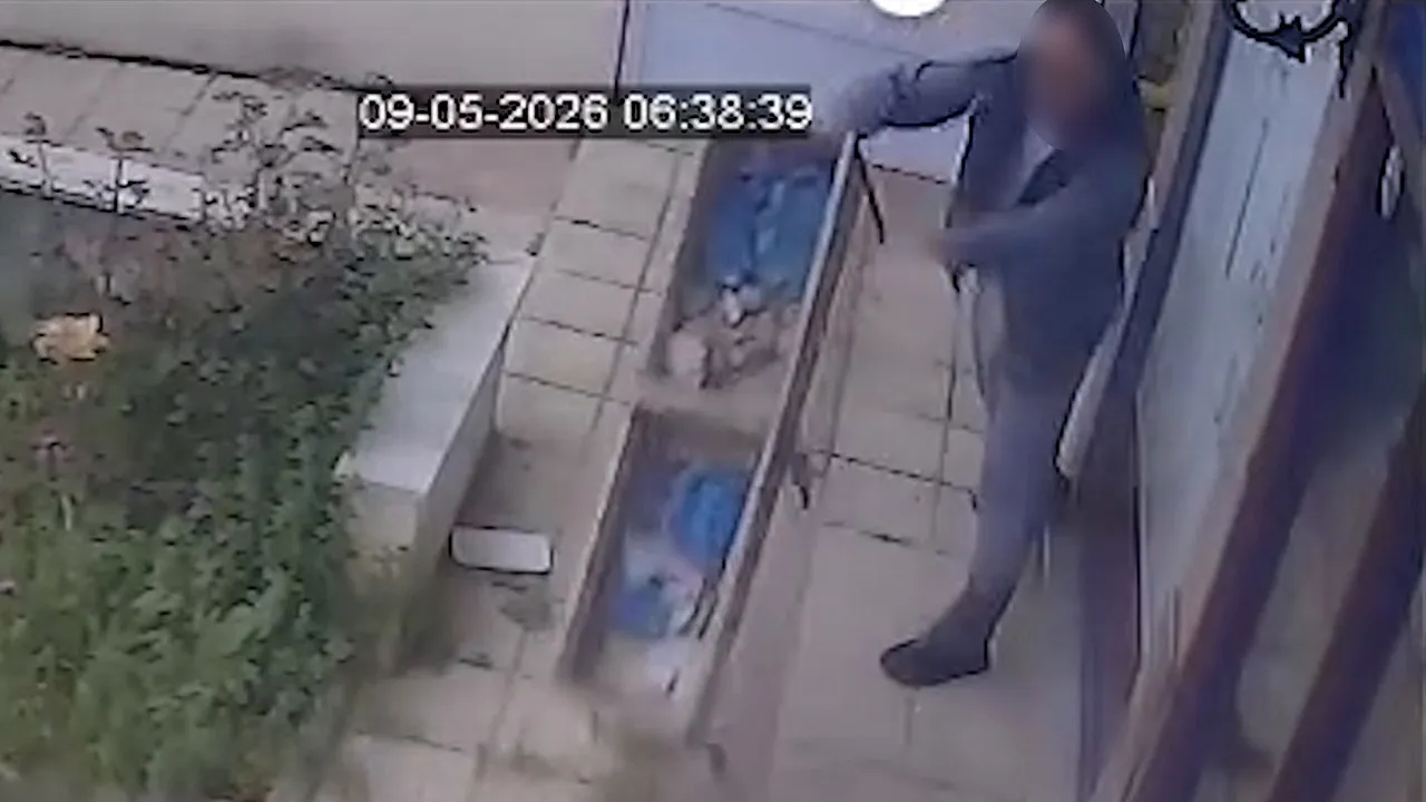 Samsun'da veteriner kliniğine saldırı