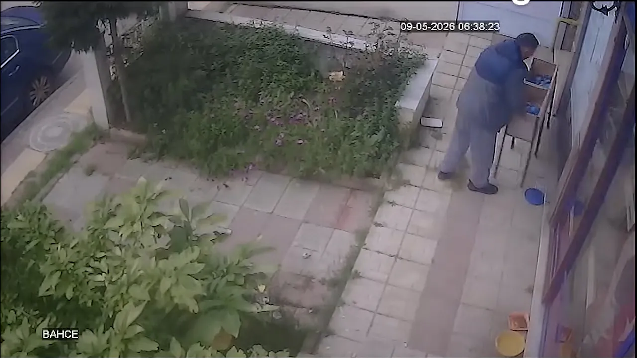 Samsun'da veteriner kliniğine saldırı