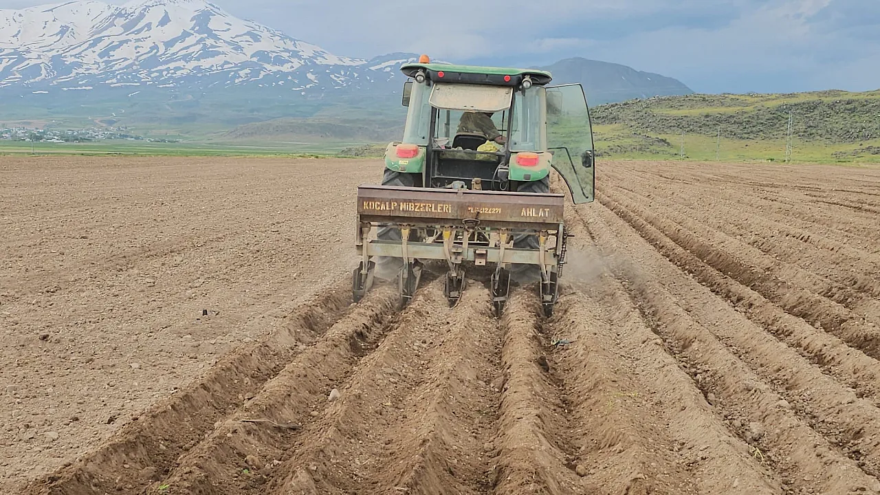 Fasulye ekim mesaisi başladı