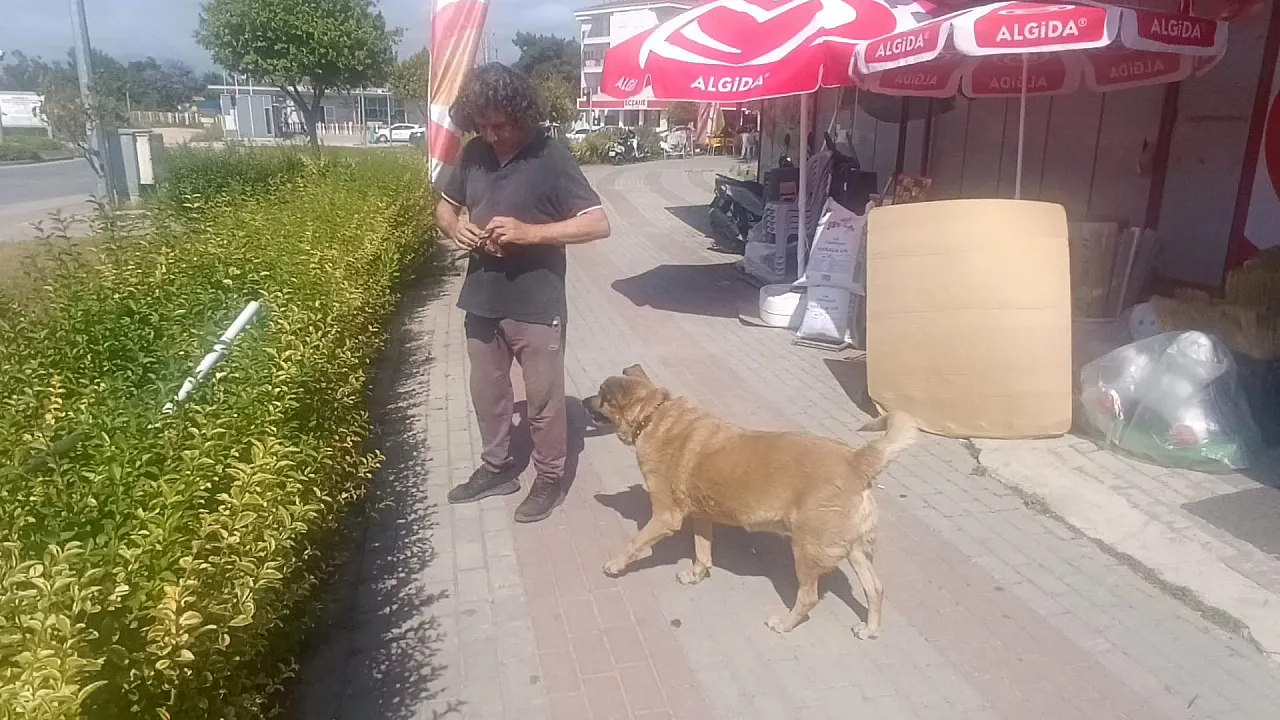 13 yıldır kör köpeğine babalık yapıyor
