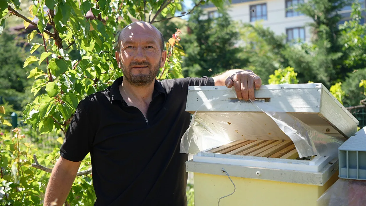 Çıplak elleriyle arı kovanına giriyor