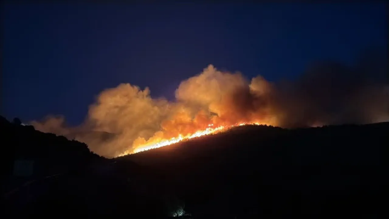 Muğla Milas'ta orman yangını: 1120 kişi tahliye edildi