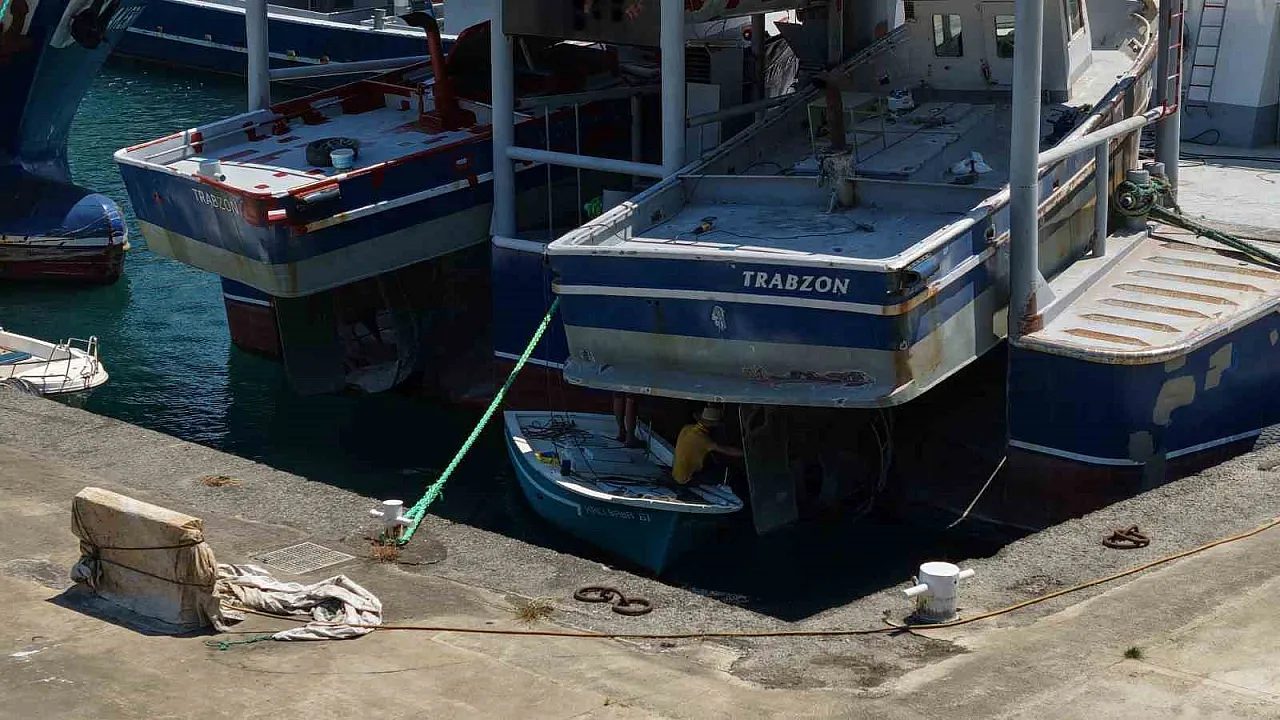 Balıkçıların yeni sezonda umudu palamut