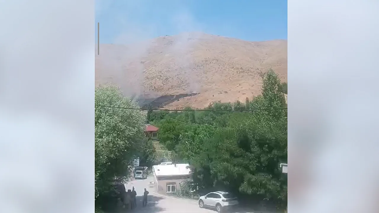 Dağlık alanda çıkan yangın büyüyor: Binlerce arı telef oldu