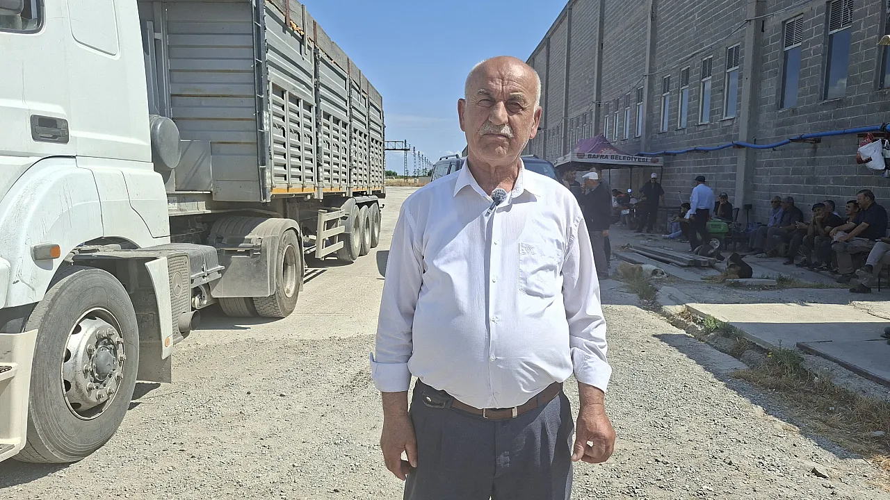Bafra'da TMO'nun hububat alımları hız kesmeden devam ediyor