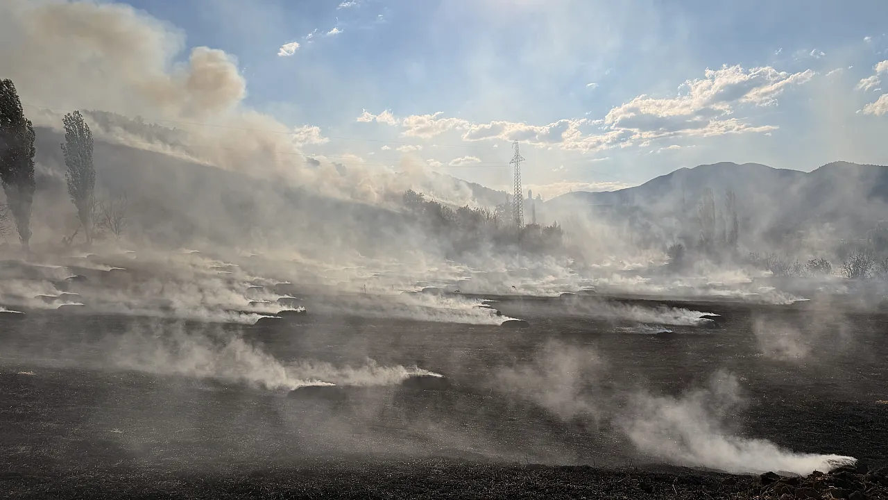 Çorum'da ormanlık alana sıçrayan yangına müdahale ediliyor