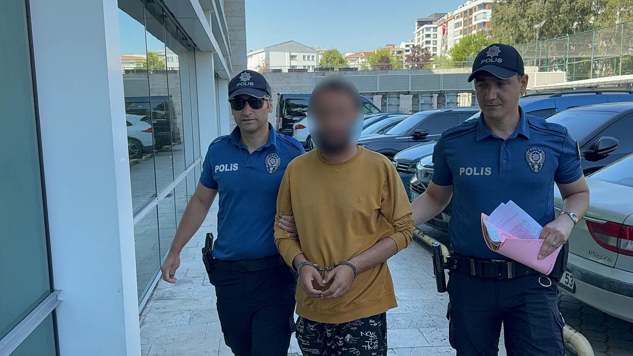 Kediye Şiddet Kamerada: Şüpheli Adliyelik Oldu