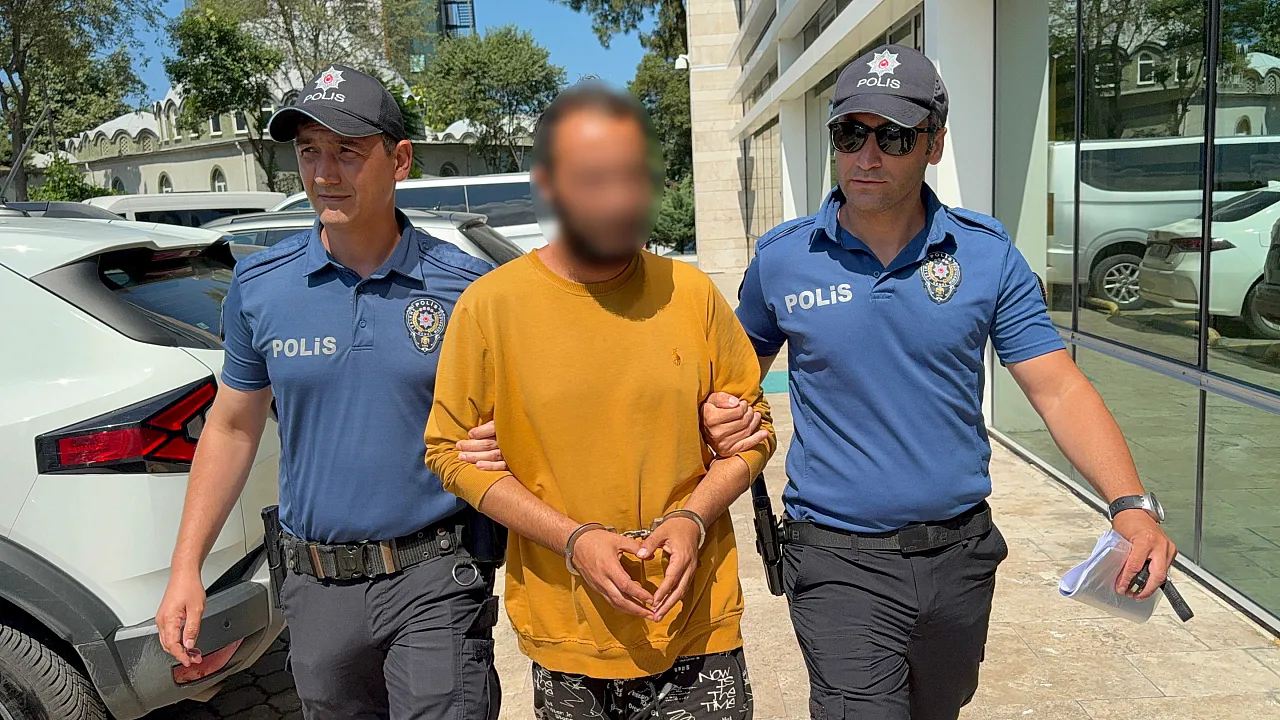 Samsun'da kediye tekme atan şüpheli tutuklandı