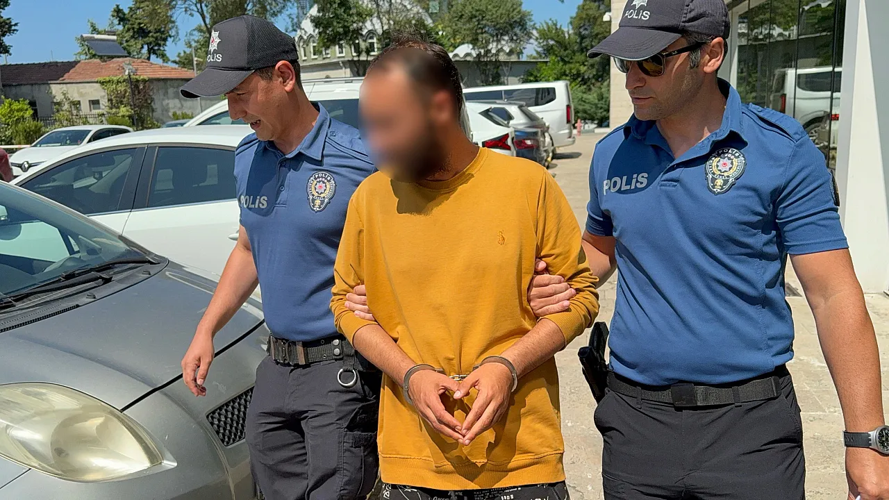 Samsun'da kediye tekme atan şüpheli tutuklandı