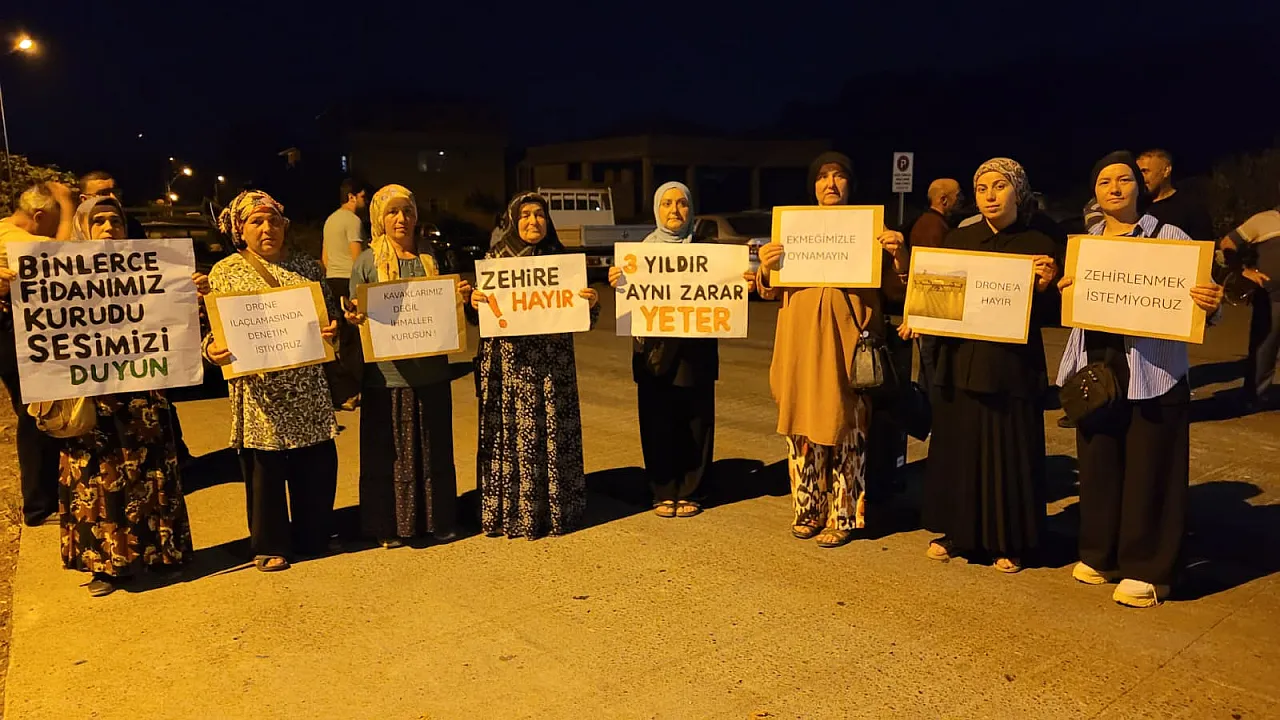 Samsun'da Yalı ve Çınarlık Mahallelerinde 'drone ile ilaçlama' gerilimi