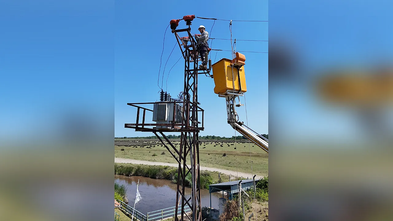 Leyleklere yuva, kuşlara güvenli elektrik hattı