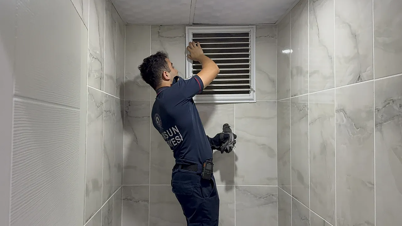 Alaçam'da apartman boşluğuna düşen yavru güvercin kurtarıldı