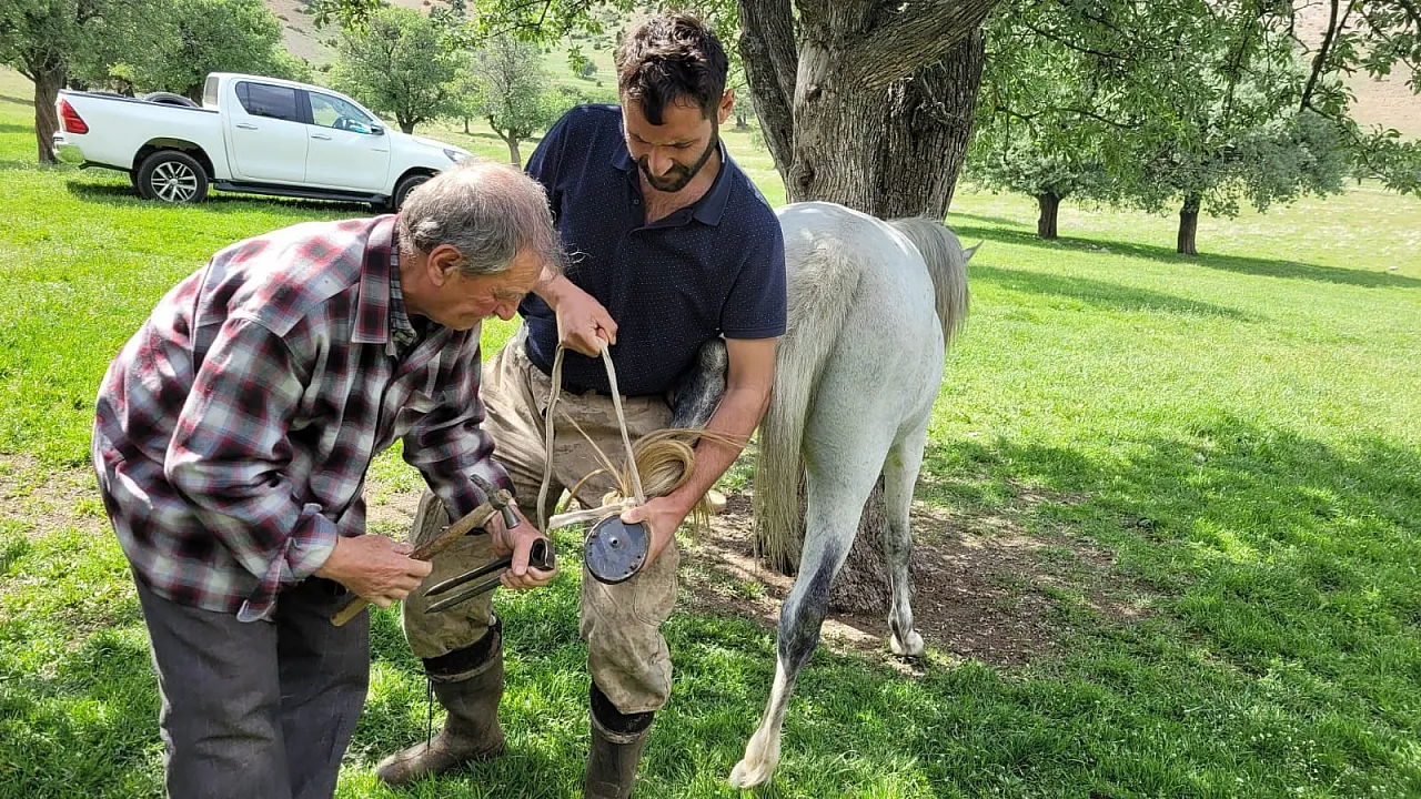 Erzincan'da yarım asırdır nalbantlık yapıyor