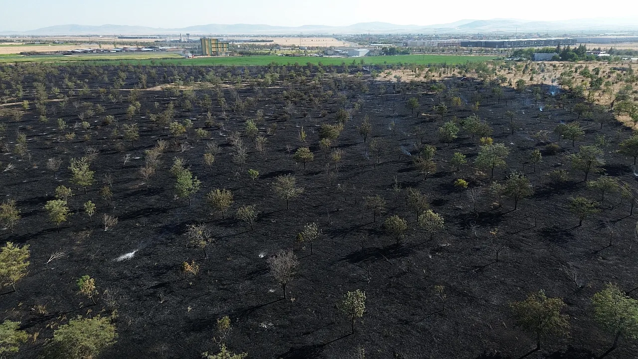 Konya'da ağaçlık alanda yangın: 150 dekar kül oldu