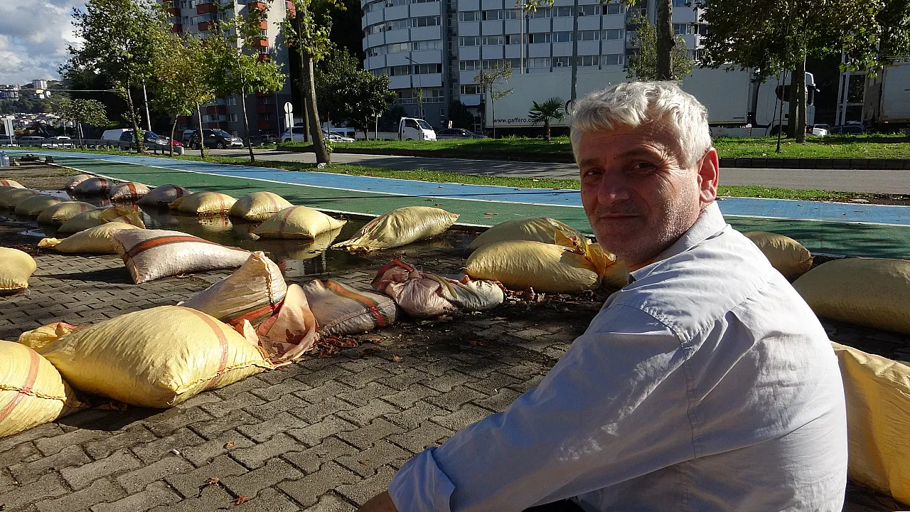 Sahile serilen fındıklar sağanak yağışa yakalandı