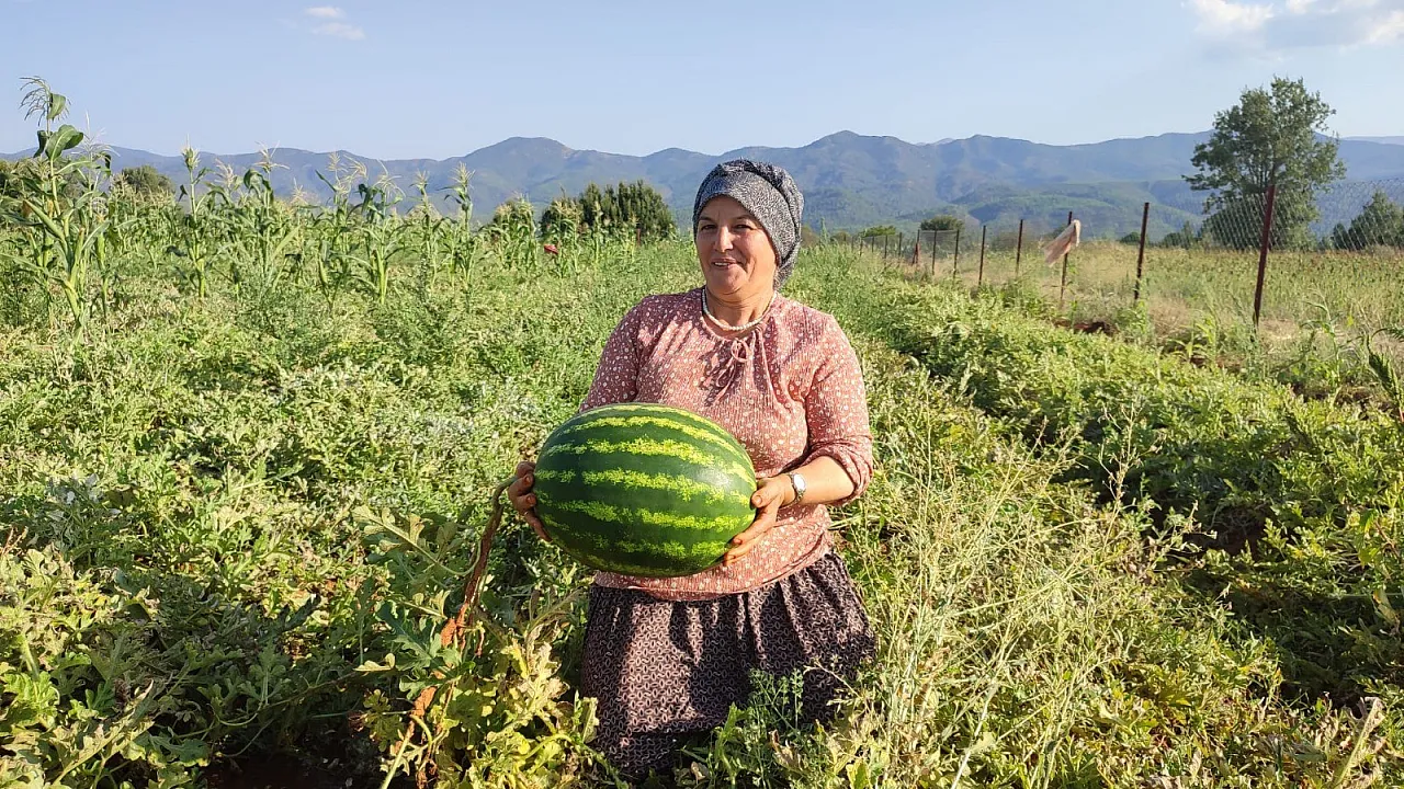 Ata tohumundan pijamalı karpuz bereketi