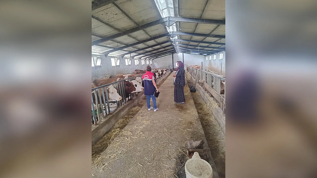 Çarşamba'da yetiştiricilere hastalıktan ari işletme bilgilendirmesi