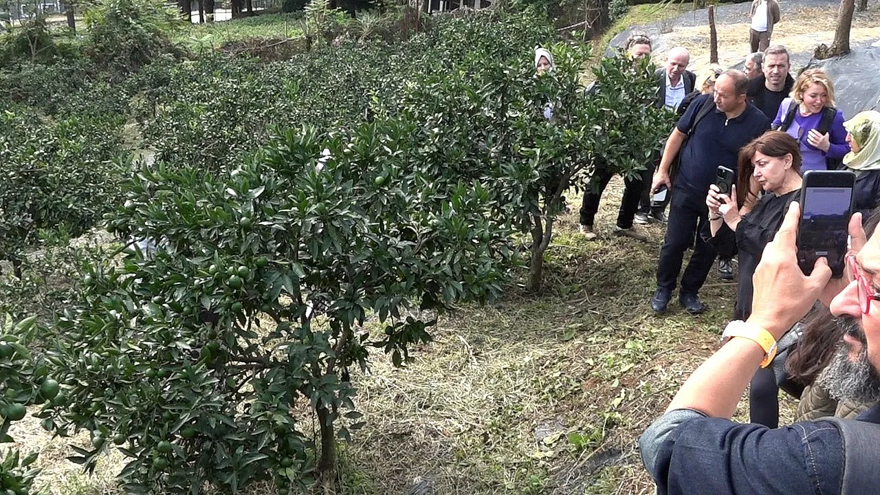 Rize gastronomisi sofradan sağlığa uzanıyor