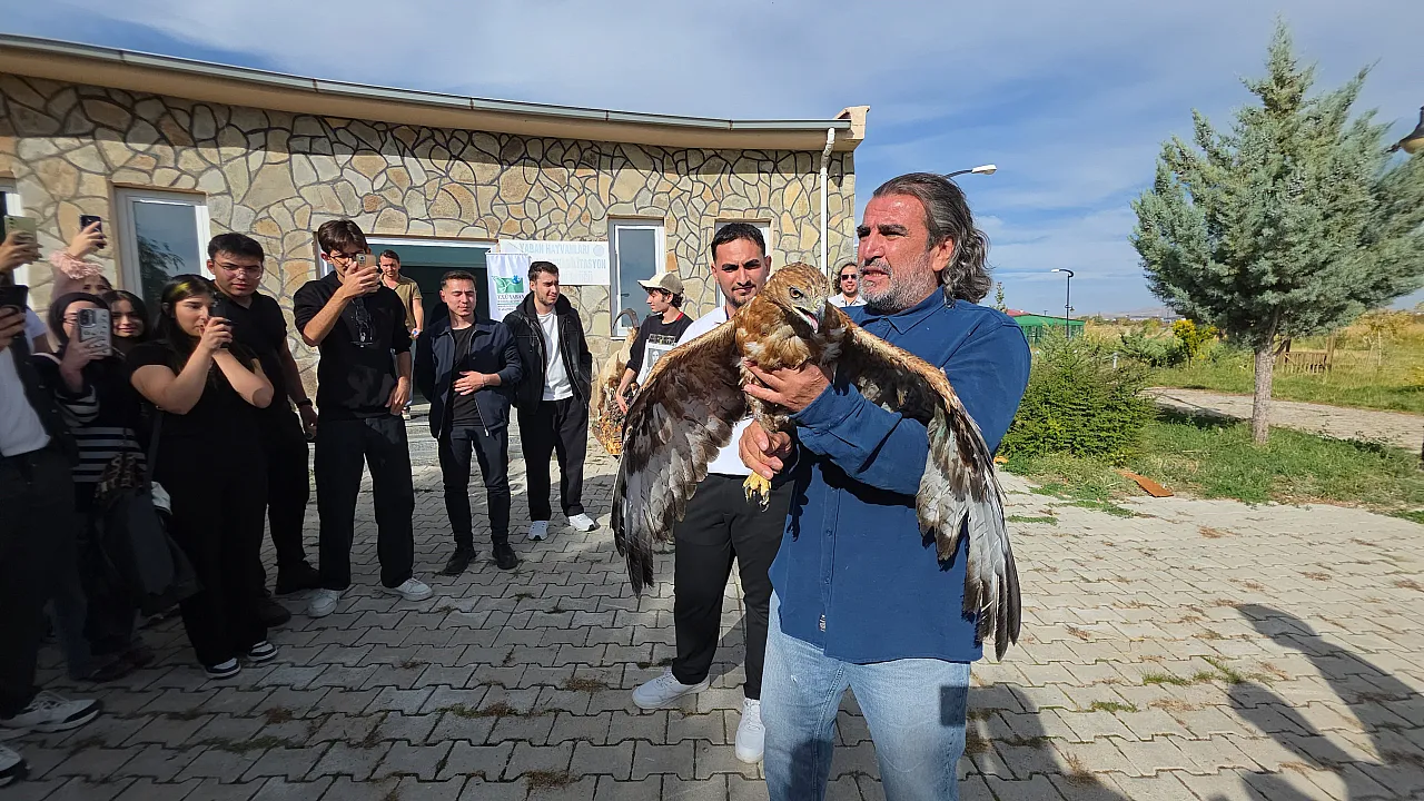 Van'da Dünya Göçmen Kuşlar Günü'nde şahin özgürlüğe kanat çırptı