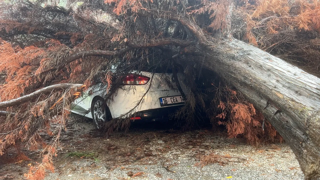 Bursa'da sağanak ağacı devirdi, otomobilin üzerine düştü